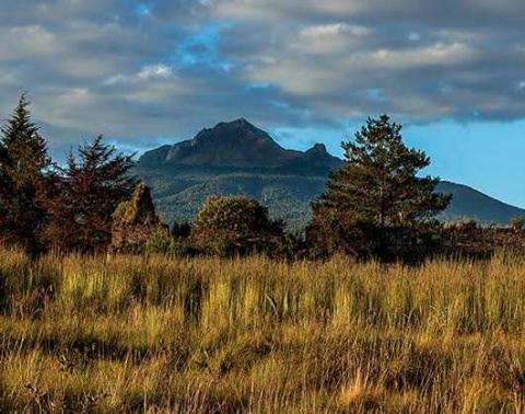 Hombre se calcina en cabaña en la Malinche