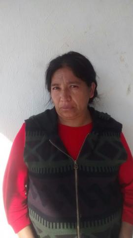 Pleito familiar termina en golpes; madre e hija son detenidas imagen 1
