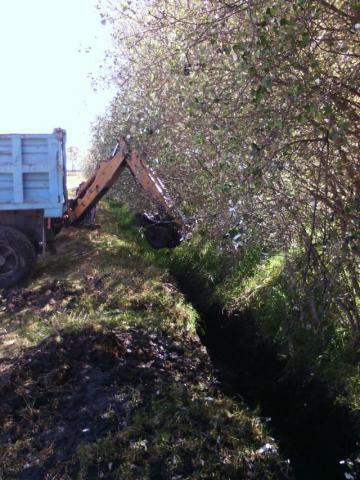 Habilita CAPAM Calpulalpan Redes de Agua Potable y Desazolva Drenajes imagen 5