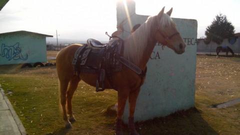 Asisten Charros de Calpulalpan a Cabalgata de San Andrés Buenavista imagen 6