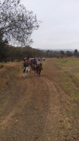 Asisten Charros de Calpulalpan a Cabalgata de San Andrés Buenavista imagen 4