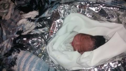 Atienden policías capitalinos hallazgo de recién nacido abandonado en la vía pública imagen 1