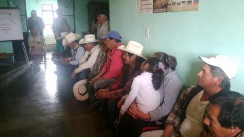 El campo carece de rumbo, no es prioritario para el gobierno imagen 2