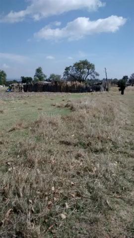 Atracan a quincuagenario en su domicilio en Contla imagen 3