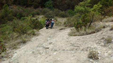 Paseo familiar termina con un menor de edad en el hospital imagen 2
