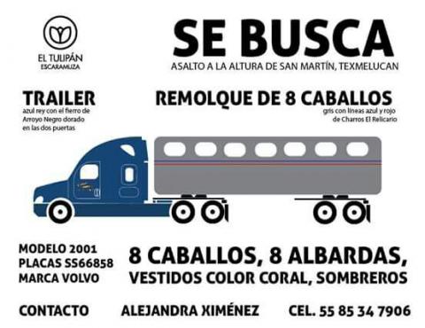 Reportan robo de tráiler cargado con caballos pura sangre imagen 2