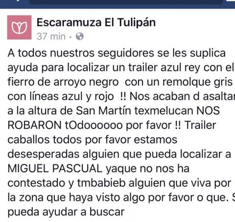 Reportan robo de tráiler cargado con caballos pura sangre imagen 3