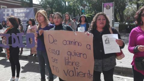 Exigen ONG’S al gobierno no simular con recomendaciones de la Conavim imagen 4