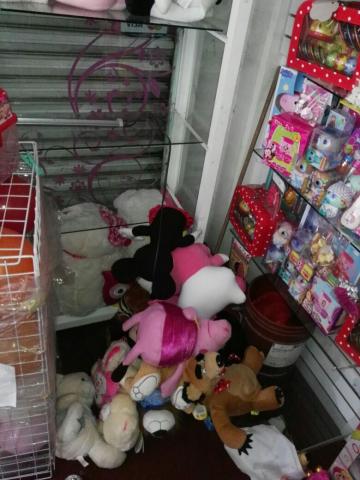 No cesa el robo a negocio en Apizaco, atracan uno más imagen 6