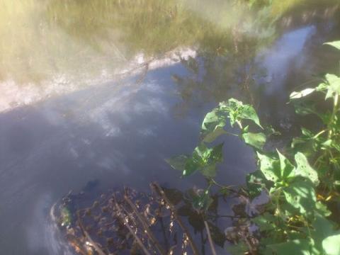 Fuga de diésel provocada en Texmelucan afecta canal de riego en Lardizábal imagen 1