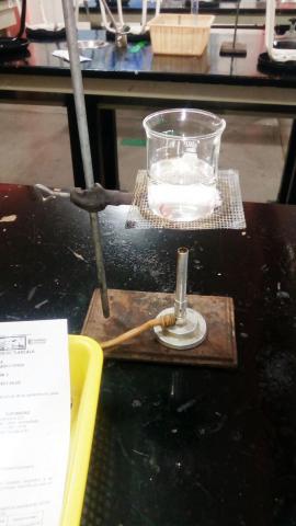 Deja prueba de laboratorio 15 estudiantes lesionados en el Cobat imagen 5