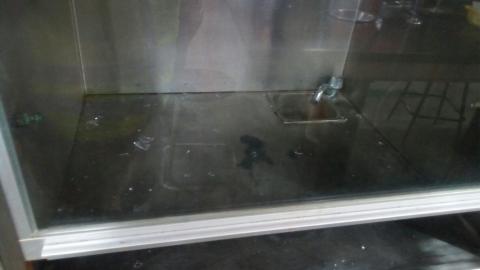 Deja prueba de laboratorio 15 estudiantes lesionados en el Cobat imagen 4