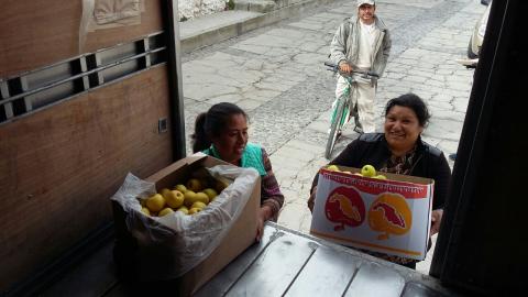 Oscuros intereses detrás de campaña de difamación contra comercializadora INSYALIM imagen 1
