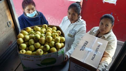 Oscuros intereses detrás de campaña de difamación contra comercializadora INSYALIM imagen 2