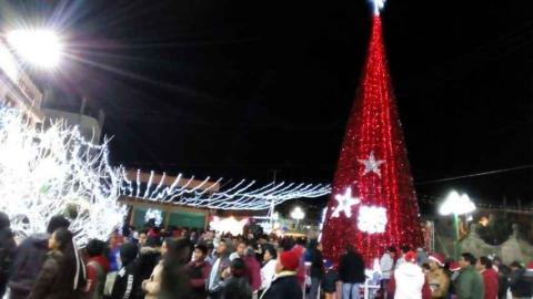 Mendieta Lira realizó el encendido del Árbol de Navidad imagen 1