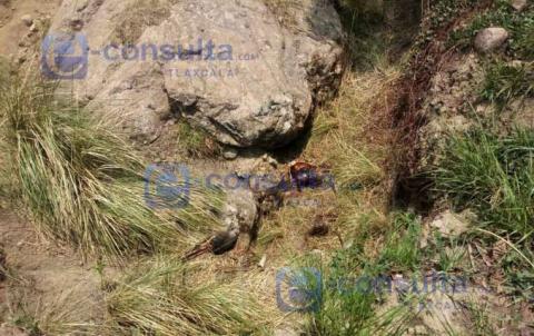 Ahora encuentran cadáver en zona boscosa de Papalotla imagen 1