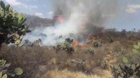 Sofocan incendio en el cerro de Totolcingo en Tequexquitla imagen 1