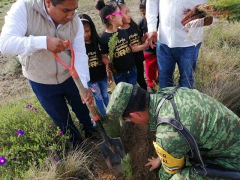 Oscar Vélez para por reforestación de Tequexquitla imagen 9