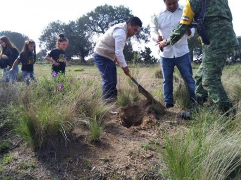 Oscar Vélez para por reforestación de Tequexquitla imagen 5