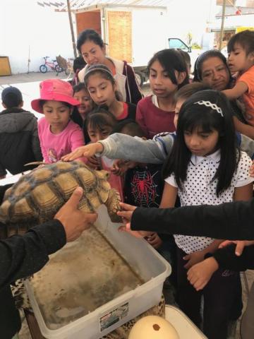 Arrancan “Cursos de Verano 2019” en Tepetitla imagen 2
