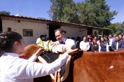 Inaugura Gobernadora servicio de equinoterapia en el sistema estatal DIF imagen 6