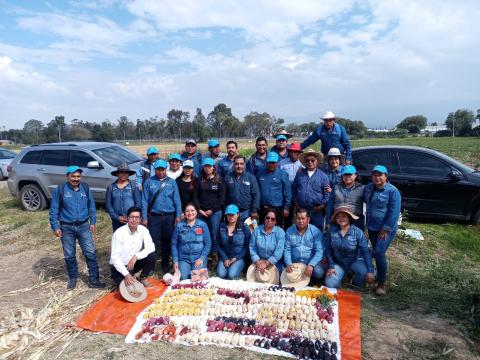 Logró SIA aumento de producción de maíz con plan de manejo de agricultura orgánica en 2022 imagen 3