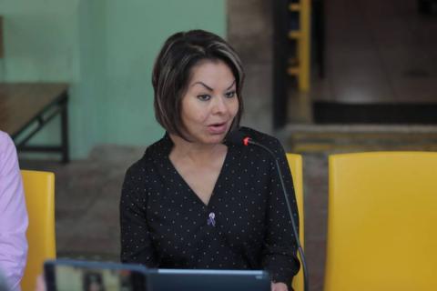 La violencia contra la mujer no se va a erradicar decorando espacios públicos: Minerva Hernández imagen 1