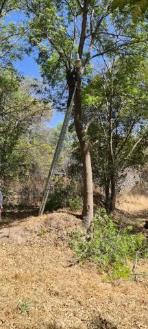 Apetatitlán avanza en el programa permanente de reparación de lámparas dañadas imagen 6