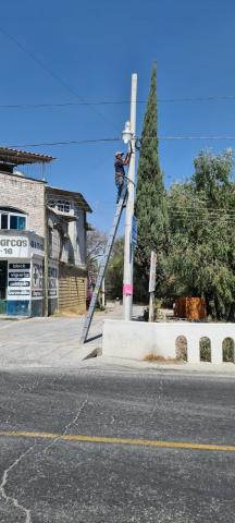 Apetatitlán avanza en el programa permanente de reparación de lámparas dañadas imagen 8