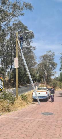 Apetatitlán avanza en el programa permanente de reparación de lámparas dañadas imagen 13