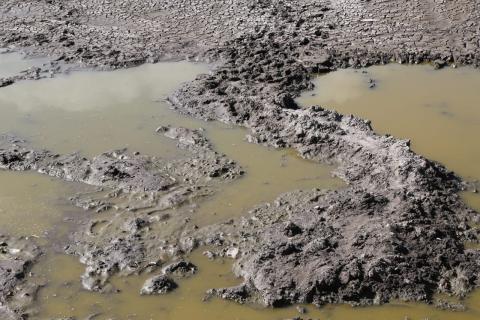 Se seca la laguna de Zacatelco, alcalde sólo piensa en su reeleción imagen 8