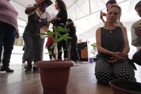 La CEDH realiza primer foro sobre el uso medicinal y recreativo de la marihuana imagen 2