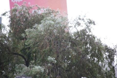 Sorprende ligera lluvia a capitalinos imagen 5