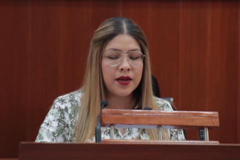 Presentan iniciativa en el Congreso para regular parquímetros y estacionamientos en Tlaxcala imagen 2