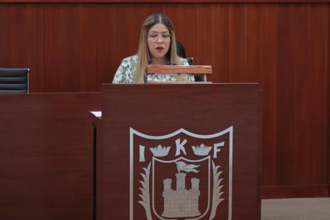 Presentan iniciativa en el Congreso para regular parquímetros y estacionamientos en Tlaxcala imagen 10