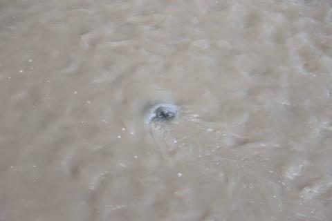 ¡A sacar las sombrillas! Probabilidad de lluvia para esta tarde imagen 1