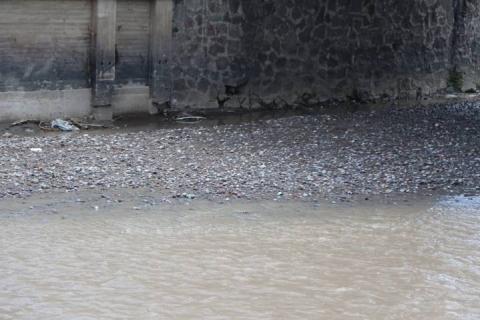 ¡A sacar las sombrillas! Probabilidad de lluvia para esta tarde imagen 5