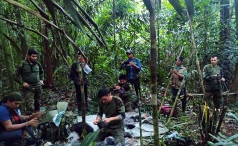 ¡Aparecen sanos y salvos! Por 40 días en la selva una niña mantiene vivos a sus 3 hermanitos