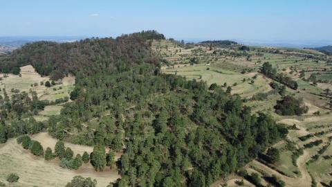 Vista aérea de los bosques de Nanacamilpa imagen 5