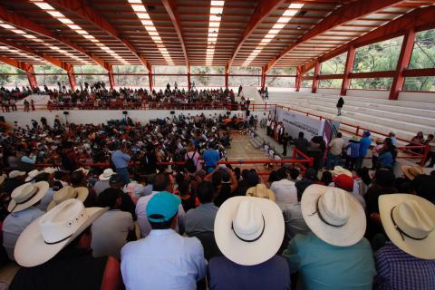 Entrega gobierno estatal apoyo al campo en Nativitas imagen 6