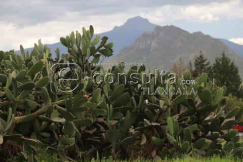 Amor imposible, la historia de la Malinche y Cuatlapanga imagen 2