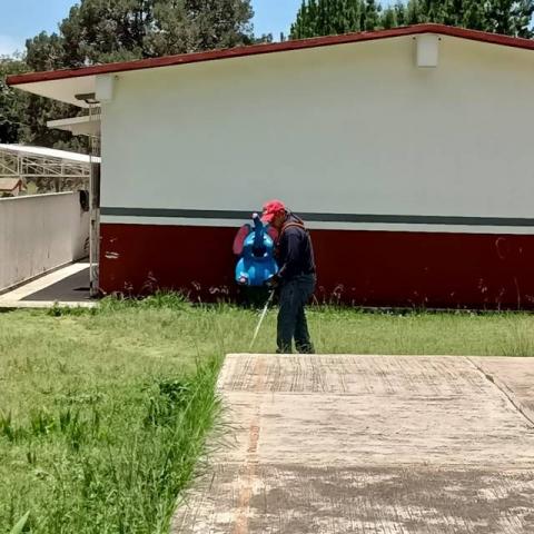 Gobierno de Apetatitlán realiza constante mantenimiento en espacios públicos imagen 1