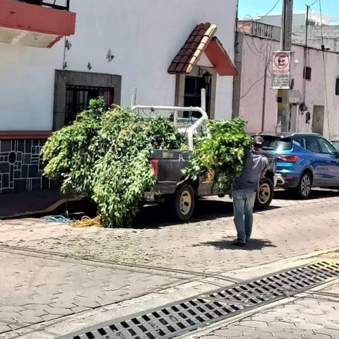 Gobierno de Apetatitlán realiza constante mantenimiento en espacios públicos imagen 8