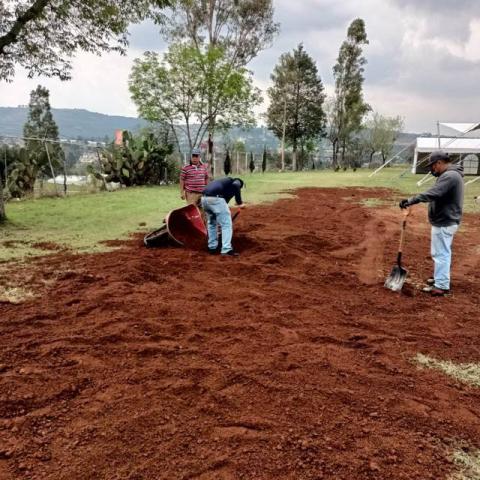Gobierno de Apetatitlán realiza constante mantenimiento en espacios públicos imagen 10