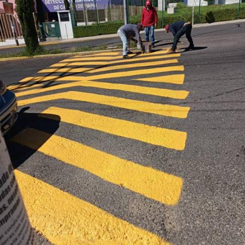 Gobierno de Apetatitlán baliza boulevard principal de la zona de hospitales imagen 5
