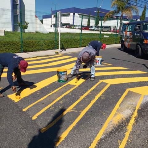 Gobierno de Apetatitlán baliza boulevard principal de la zona de hospitales imagen 8