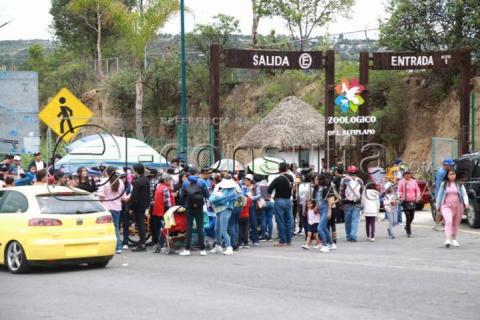 Abarrotan visitantes el Zoológico del Altiplano imagen 3