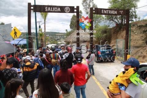 Abarrotan visitantes el Zoológico del Altiplano imagen 4