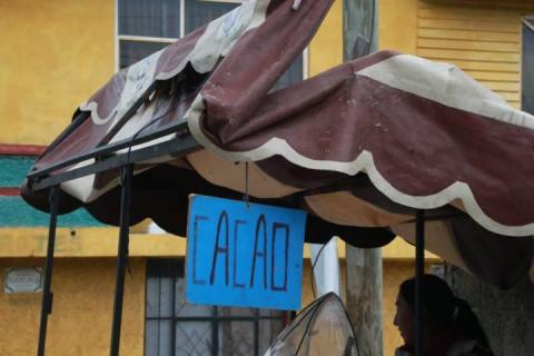 ¡Cómo agua para chocolate! Cacao, bebida tradicional de Zacatelco imagen 4