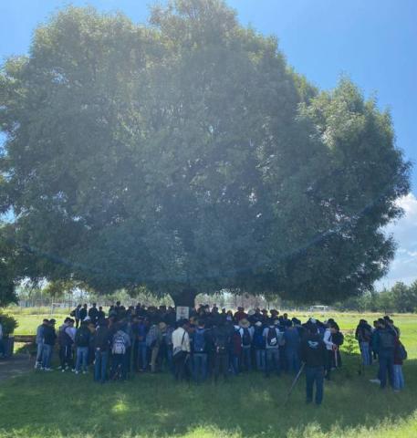 Reforesta UPTx áreas verdes del campus universitario imagen 2